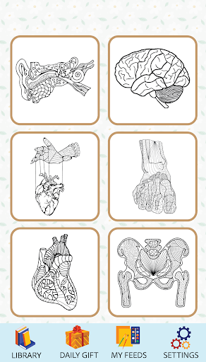 Android application Anatomy Coloring Book screenshort