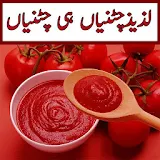 Sauce Recipes In Urdu icon