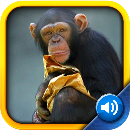 Toddler Tapping Zoo  Icon