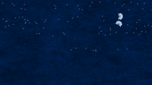 Android application Jellyfish breeding game - free screenshort
