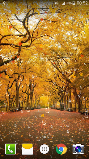 Maple Drops Live Wallpaper Screen 2