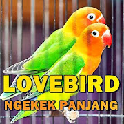 Top 44 Music & Audio Apps Like Suara Lovebird Ngekek Panjang MP3 Offline - Best Alternatives