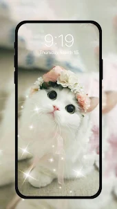 Cute Kitten Live Wallpapers HD