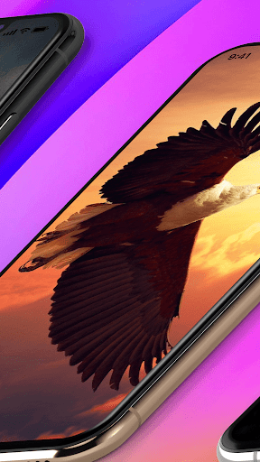 Eagle Wallpaper Live Screen 3