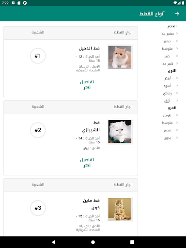 عشاق القطط حول العالم