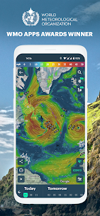 Windy.app: wind & weather live 1