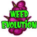 Weed Evolution Apk
