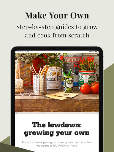 Screenshot of olive Magazine
