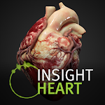 Cover Image of 下载 INSIGHT HEART  APK