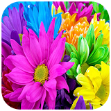 Colorful Flower Puzzles icon