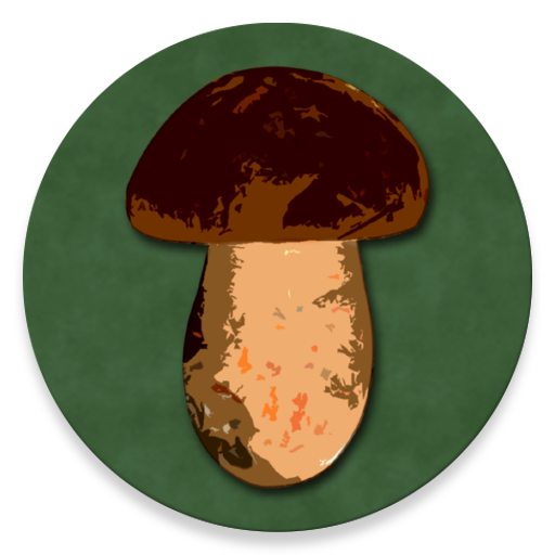 Book of Mushrooms  Icon