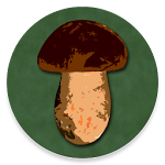 Cover Image of Download Book of Mushrooms  APK