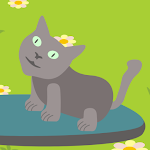 Hoverboard Cat Apk
