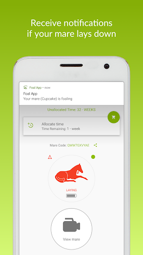 Foal App Screen 2