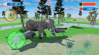 Angry Buffalo Attack Simulator - Screenshot 1