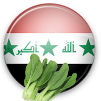 وصفات و اكلات عراقية