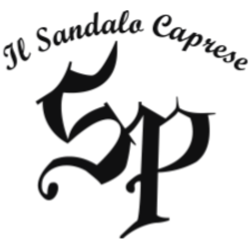 CAPRI MANIA logo