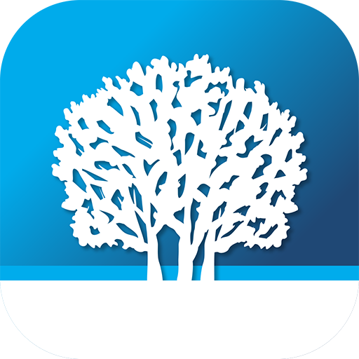 Lake Forest Now logo