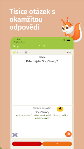 Screenshot of Czech grammar