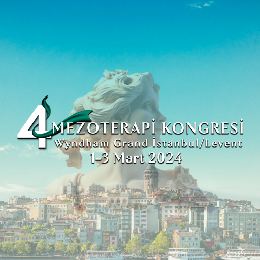 Mezoder 2024 logo