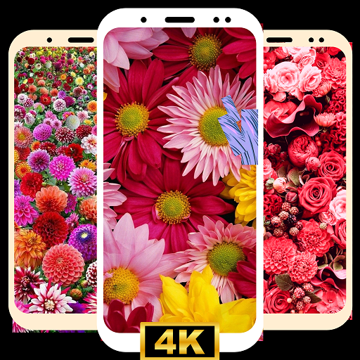 flower wallpaper-rose wallpape