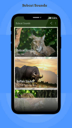 Android application Bobcat Sounds screenshort