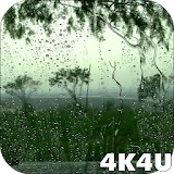 4K Rain Drops on Window Live Wallpaper icon