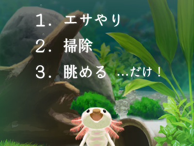 ウーパールーパー 飼育ゲーム 336426-ウーパールーパー 飼育ゲーム 最大