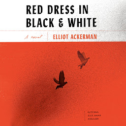 Icon image Red Dress in Black and White: A novel
