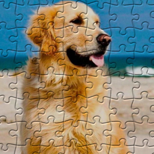 Golden Retriever Puzzles Download on Windows