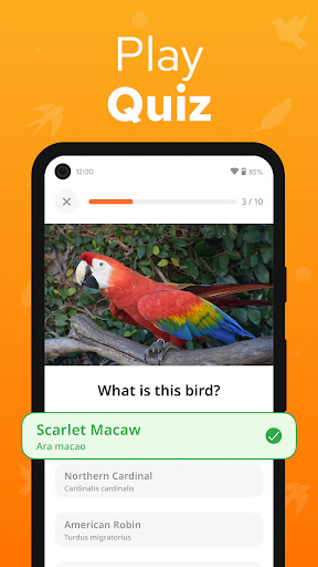 Birdium Bird Identifier