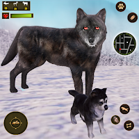 Дикий волк охотится на животны