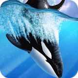 Killer whale Live WP icon