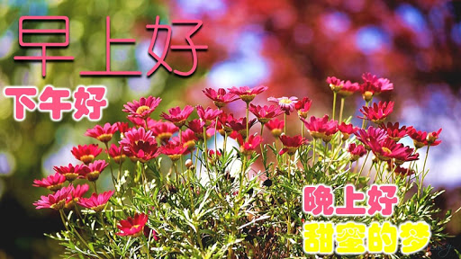 Android application Chinese Good Morning to Night screenshort