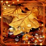 Cover Image of Download Autumn Rainy Day  APK