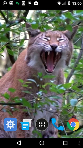 lynx wallpaper Screen 2