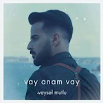 Cover Image of 下载 Veysel Mutlu - Vay Anam Vay 2.3 APK