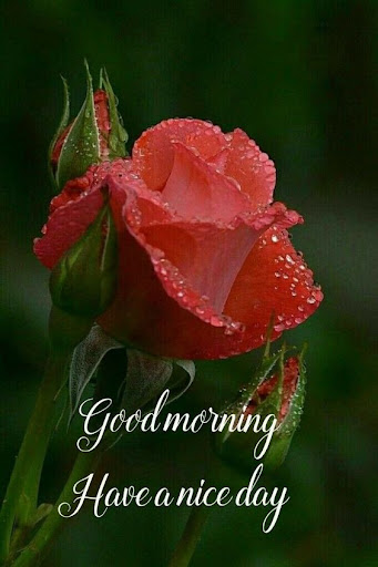 Android application Good morning greetings screenshort