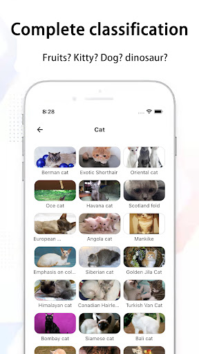 Animal & Plant Recognition 3D Screen 3