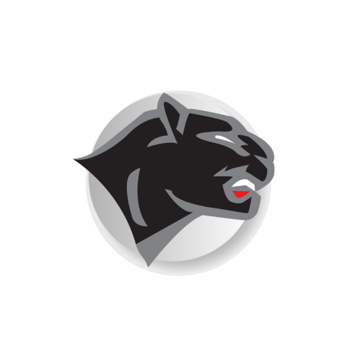Chatham Central Schools, NY logo