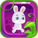 Bunny, Squirrel & Tiger: Platform Adventure Run icon