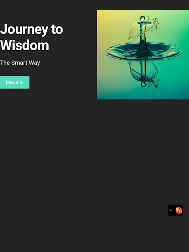 Bekas Wisdom Screen 2