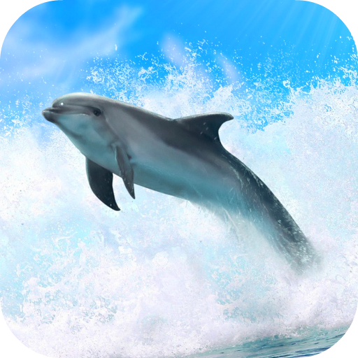 Dolphins 3D. Live Wallpaper. 10.0 Icon