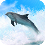 Cover Image of Download Dolphins 3D. Live Wallpaper.  APK