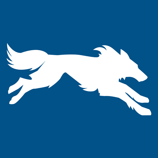SilverWolf Motors logo