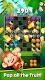 screenshot of Fruit Block Puzzle