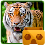 Amazon Jungle VR Zoo Animals