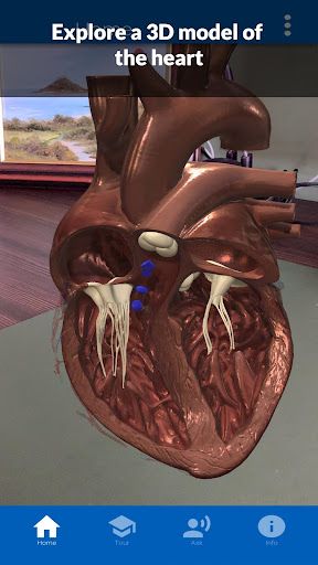 Know My Heart (AF Edition) Screen 2