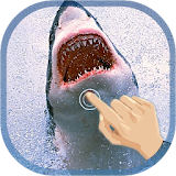 Magic Touch Shark Attack LWP icon