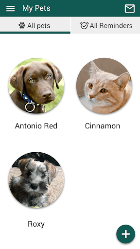 Dogwood Vet and Pet Resort Screen 3